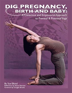 Dig Pregnancy, Birth, & Baby: A Conscious & Empowered Approach Prenatal & Postnatal Yoga Paperback