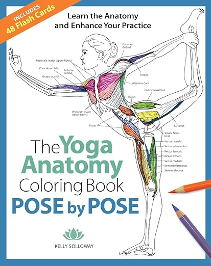 Pose by Pose: Learn the Anatomy and Enhance Your Practice (Volume 2) (Anatomy Coloring Books)     Paperback – November 3, 2020