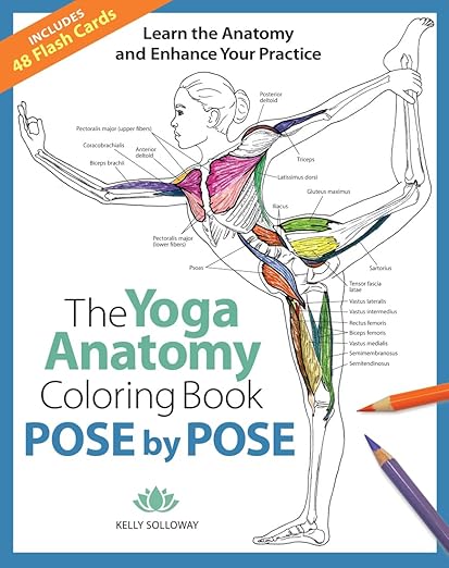 Pose by Pose: Learn the Anatomy and Enhance Your Practice (Volume 2) (Anatomy Coloring Books) Paperback – November 3, 2020