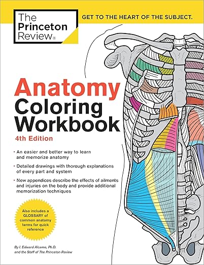 Anatomy Coloring Workbook, 4th Edition: An Easier and Better Way to Learn Anatomy 4th Edition