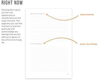 by Michael Hyatt - 2023 Daily Gratitude & Productivity Hardcover Journal - 5.0 x 8.0 inches, 90 pages - Forever Consciousness