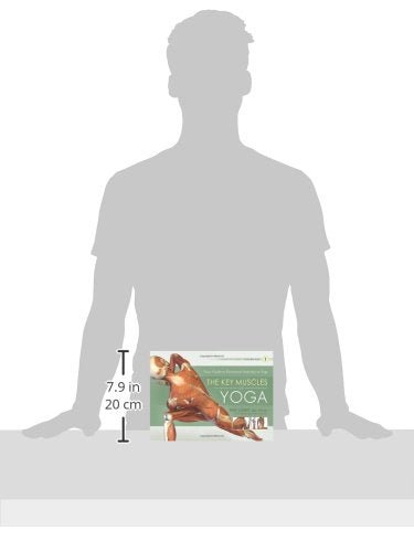 The Key Muscles of Yoga: Scientific Keys, Volume I Paperback – Illustrated, November 1, 2009 - Forever Consciousness