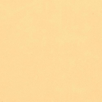 Best Daily Journal for Men & Women - Gratitude, Manifestation & Guided Journal with Prompts for Personal Growth by PRODUCTIVITY STORE (A5, Black) - Forever Consciousness