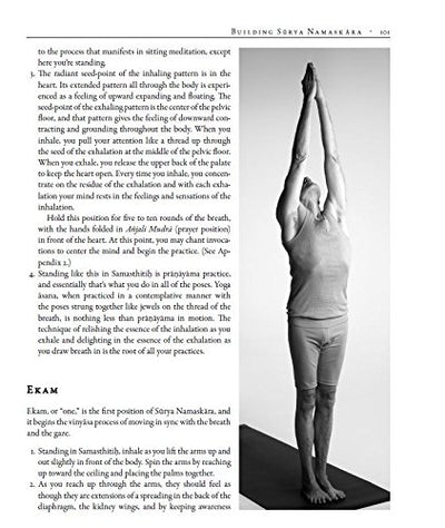 The Art of Vinyasa: Awakening Body and Mind through the Practice of Ashtanga Yoga     Paperback – Illustrated, December 27, 2016