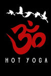 Hot Yoga Journal / Hot Yoga Notebook: Hardcover Hot Yoga Diary / Hot Yoga Logbook Hardcover – November 25, 2024 - Forever Consciousness
