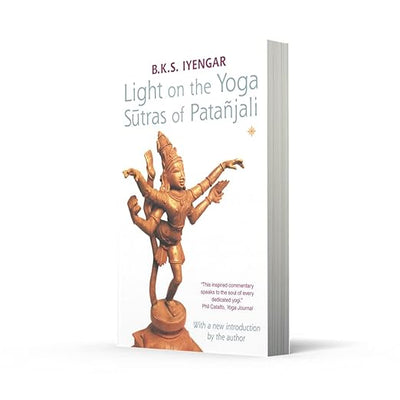 Light on the Yoga Sutras of Patanjali     Paperback – October 21, 2002