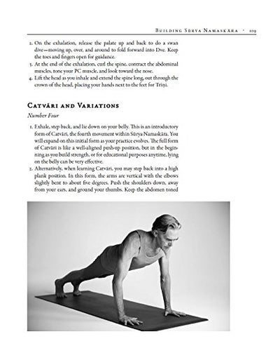 The Art of Vinyasa: Awakening Body and Mind through the Practice of Ashtanga Yoga     Paperback – Illustrated, December 27, 2016