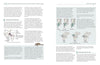 Yoga Anatomy Made Simple: Your Illustrated Guide to Form, Function, and Posture Groups Paperback – June 20, 2023 - Forever Consciousness