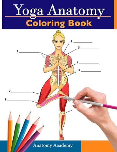 Yoga Anatomy Coloring Book: 3-in-1 Compilation | 150+ Incredibly Detailed Self-Test Beginner, Intermediate & Expert Yoga Poses Color workbook      Paperback – November 20, 2020