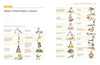 Yoga Anatomy Made Simple: Your Illustrated Guide to Form, Function, and Posture Groups Paperback – June 20, 2023 - Forever Consciousness