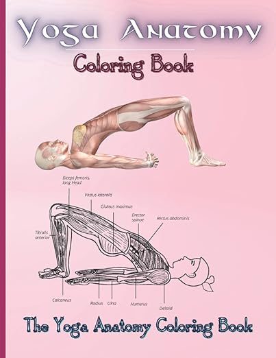 Yoga Anatomy Coloring Book: Learn the Anatomy and Enhance Your Practice (The Yoga Anatomy Coloring Book)      Paperback – April 24, 2021