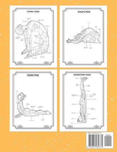 Yoga Anatomy Coloring Book: Visual Guide Movement Yoga Poses Coloring Book Paperback – April 19, 2021 - Forever Consciousness