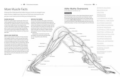 Yoga Anatomy Coloring Book: A Visual Guide to Form, Function, and Movement - An Educational Anatomy Coloring Book for Medical Students, Yoga ... & Adults (Volume 1) (Anatomy Coloring Books) Paperback – Coloring Book, August 7, 2018 - Forever Consciousness