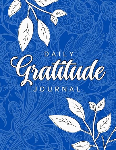Five Minute Gratitude Journal      Paperback – May 28, 2025