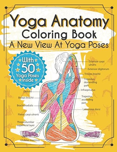 Yoga Anatomy Coloring Book: A New View At Yoga Poses      Paperback – June 18, 2019