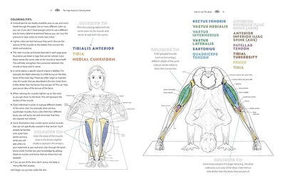 Yoga Anatomy Coloring Book: A Visual Guide to Form, Function, and Movement - An Educational Anatomy Coloring Book for Medical Students, Yoga ... & Adults (Volume 1) (Anatomy Coloring Books) Paperback – Coloring Book, August 7, 2018 - Forever Consciousness