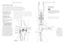 Yoga Anatomy Coloring Book: A Visual Guide to Form, Function, and Movement - An Educational Anatomy Coloring Book for Medical Students, Yoga ... & Adults (Volume 1) (Anatomy Coloring Books) Paperback – Coloring Book, August 7, 2018 - Forever Consciousness