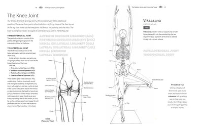 Yoga Anatomy Coloring Book: A Visual Guide to Form, Function, and Movement - An Educational Anatomy Coloring Book for Medical Students, Yoga ... & Adults (Volume 1) (Anatomy Coloring Books) Paperback – Coloring Book, August 7, 2018 - Forever Consciousness