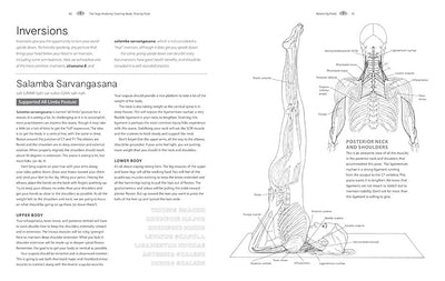 Pose by Pose: Learn the Anatomy and Enhance Your Practice (Volume 2) (Anatomy Coloring Books) Paperback – November 3, 2020 - Forever Consciousness