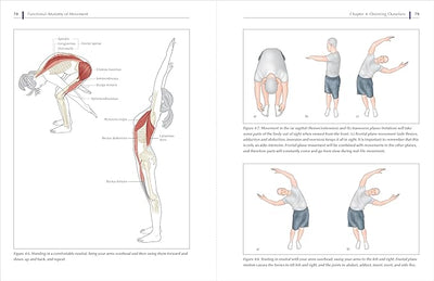 Functional Anatomy of Movement: An Illustrated Guide to Joint Movement, Soft Tissue Control, and Myofascial Anatomy - For yoga teachers, pilates instructors & movement & manual therapists Paperback – December 12, 2023 - Forever Consciousness