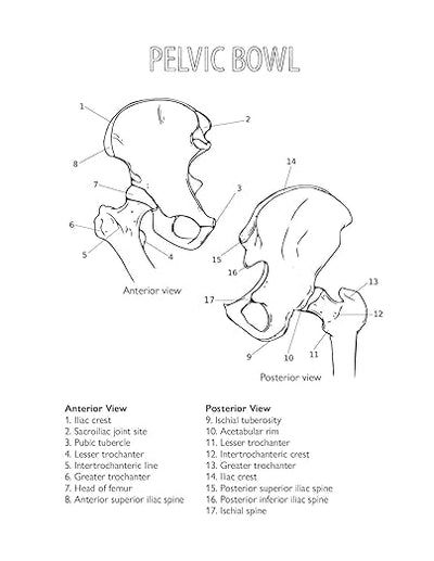 The Complete Yoga Anatomy Coloring Book Paperback – July 18, 2019 - Forever Consciousness