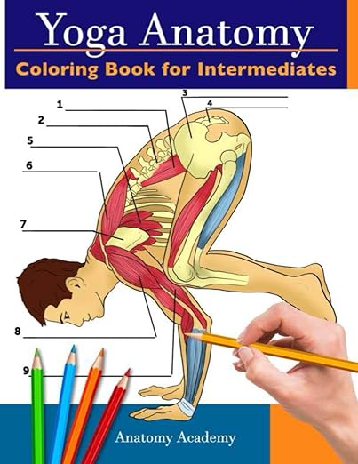 Yoga Anatomy Coloring Book for Intermediates: 50+ Incredibly Detailed Self-Test Intermediate Yoga Poses Color workbook | Perfect Gift for Yoga Instructors, Teachers & Enthusiasts      Paperback – November 19, 2020