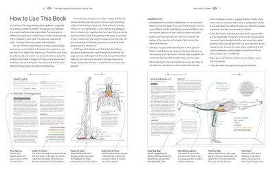 Pose by Pose: Learn the Anatomy and Enhance Your Practice (Volume 2) (Anatomy Coloring Books) Paperback – November 3, 2020 - Forever Consciousness
