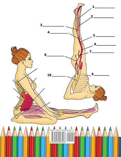 Yoga Anatomy Coloring Book for Intermediates: 50+ Incredibly Detailed Self - Test Intermediate Yoga Poses Color workbook | Perfect Gift for Yoga Instructors, Teachers & Enthusiasts Paperback – November 19, 2020 - Forever Consciousness
