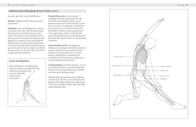 The Anatomy of Yoga Coloring Book: Learn the Form and Biomechanics of More than 50 Asanas     Paperback – Coloring Book, November 8, 2022