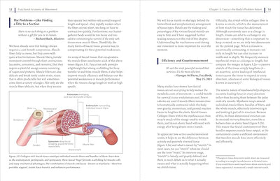 Functional Anatomy of Movement: An Illustrated Guide to Joint Movement, Soft Tissue Control, and Myofascial Anatomy - For yoga teachers, pilates instructors & movement & manual therapists Paperback – December 12, 2023 - Forever Consciousness