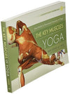 The Key Muscles of Yoga: Scientific Keys, Volume I Paperback – Illustrated, November 1, 2009 - Forever Consciousness
