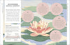 Breathwork: Use The Power Of Breath To Energise Your Body And Focus Your Mind (A Little Book of Self Care) Hardcover – December 26, 2019 - Forever Consciousness