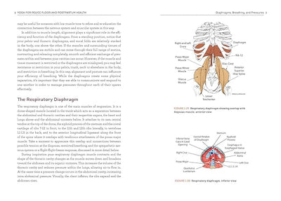 Yoga for Pelvic Floor and Postpartum Health: An Iyengar Yoga Approach to Pelvic Healing and Integrative Wellness through Anatomy and Practice     Paperback – August 20, 2024