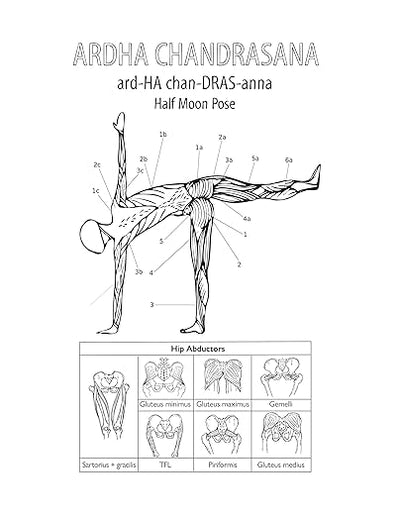 The Complete Yoga Anatomy Coloring Book Paperback – July 18, 2019 - Forever Consciousness