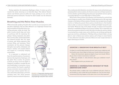 Yoga for Pelvic Floor and Postpartum Health: An Iyengar Yoga Approach to Pelvic Healing and Integrative Wellness through Anatomy and Practice     Paperback – August 20, 2024