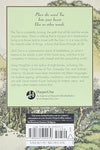 365 Tao: Daily Meditations Paperback – July 17, 1992 - Forever Consciousness