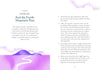 The Little Book of Mindfulness Hardcover – May 7, 2024 - Forever Consciousness