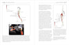 Functional Anatomy of Movement: An Illustrated Guide to Joint Movement, Soft Tissue Control, and Myofascial Anatomy - For yoga teachers, pilates instructors & movement & manual therapists Paperback – December 12, 2023 - Forever Consciousness