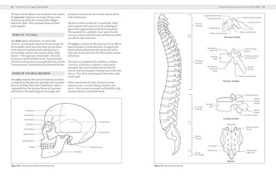 The Anatomy of Yoga Coloring Book: Learn the Form and Biomechanics of More than 50 Asanas     Paperback – Coloring Book, November 8, 2022