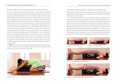 Yoga for Pelvic Floor and Postpartum Health: An Iyengar Yoga Approach to Pelvic Healing and Integrative Wellness through Anatomy and Practice     Paperback – August 20, 2024