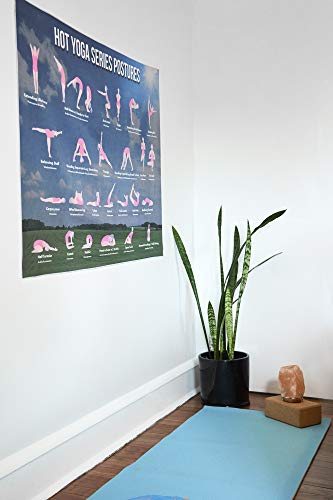 Hot Yoga Tapestry and Bikram Asana Poster/3'x4' sequence tutorial made of  soft Microfiber towel/Decor for a gym, workout room or studio/basic